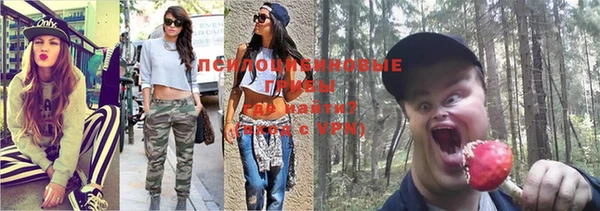 гидропоника Армянск
