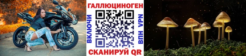 кракен   Аркадак  Галлюциногенные грибы мицелий 